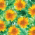 Sun Flower